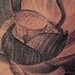 tattoo galleries/ - 
